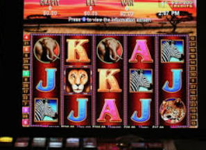 壹号国际app下载最新版